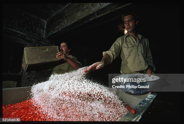 salting chile peppers for tabasco sauce - salt avery island stock pictures, royalty-free photos & images