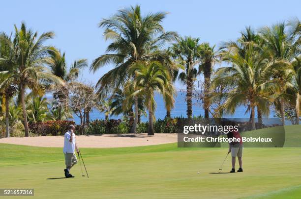 mexico, baja california, los cabos, palmilla golf course - los cabos fotografías e imágenes de stock