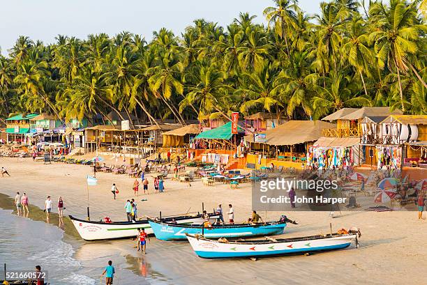 beach in goa, india - goa stock pictures, royalty-free photos & images