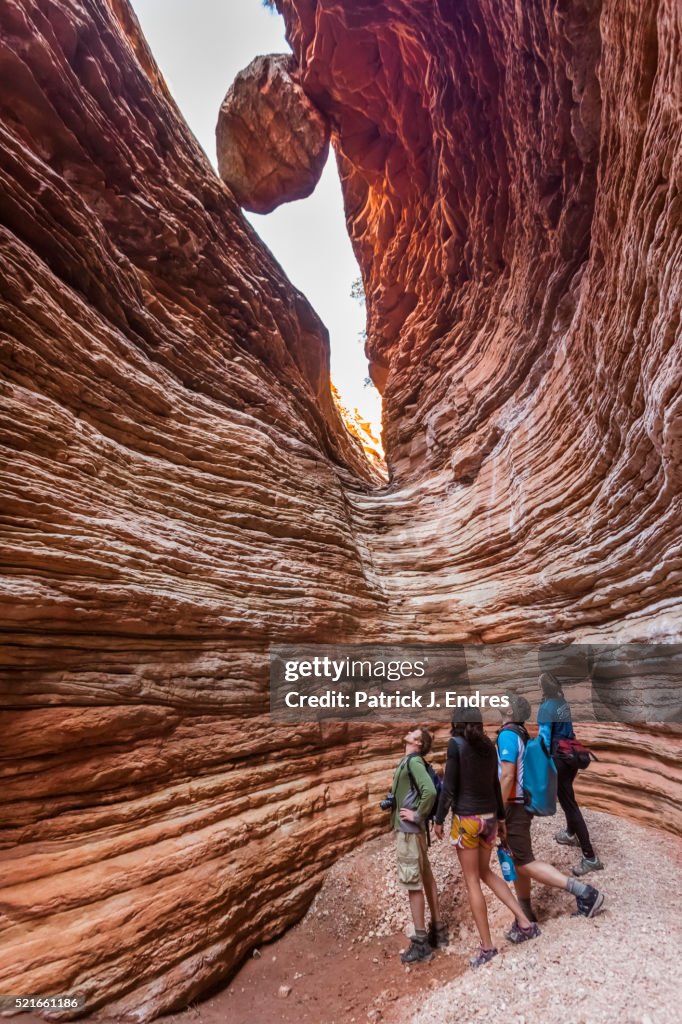 Canyoneering in Blacktail Canyon