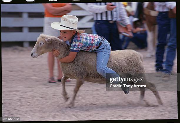 Kids Riding Sheep Photos and Premium High Res Pictures - Getty Images