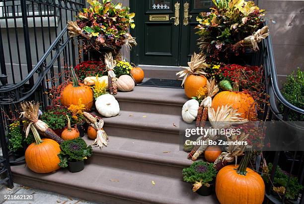 halloween pumpkins - indian corn stock-fotos und bilder