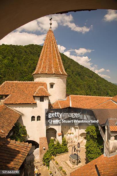 dracula's castle - bran castle stock pictures, royalty-free photos & images