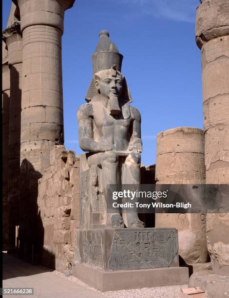 colossus of ramesses ii at temple of luxor in thebes - pharaoh stock pictures, royalty-free photos & images