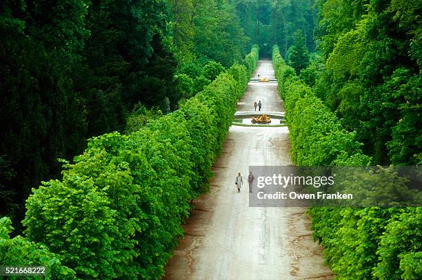 path in versailles gardens - versailles stockfoto's en -beelden