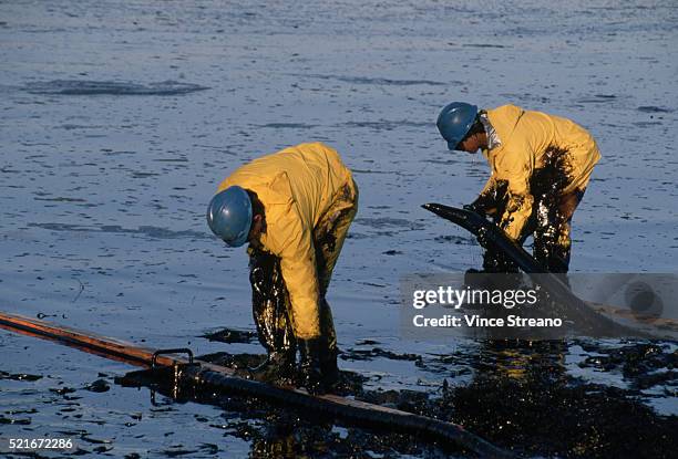 cleaning oil spill in anacortes bay - ölpest stock-fotos und bilder