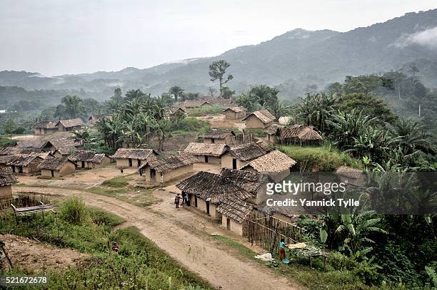 virgin forest in north kivu - village stock pictures, royalty-free photos & images