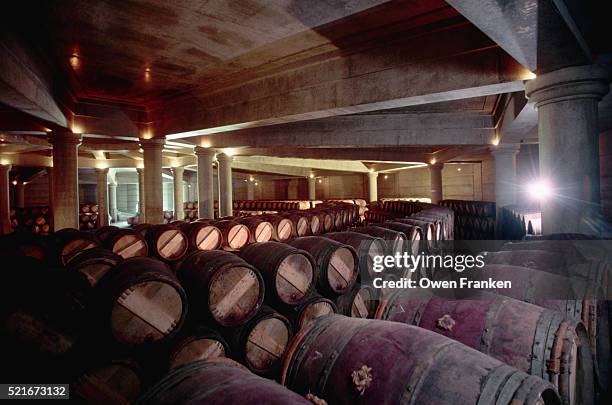 bordeaux wine cellar - medoc stock pictures, royalty-free photos & images