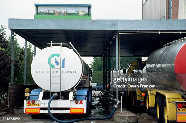 unloading milk at cheese factory - cheese production in netherlands stock pictures, royalty-free photos & images