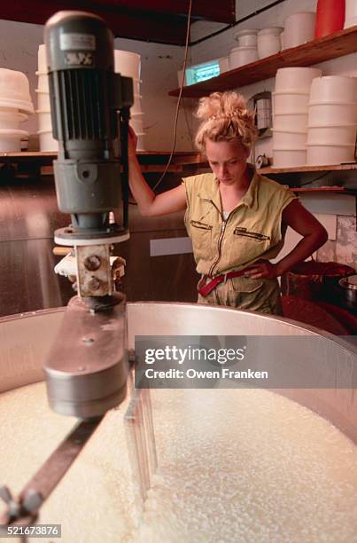 60 Cheese Making Machine Stock Photos, High-Res Pictures, and Images ...