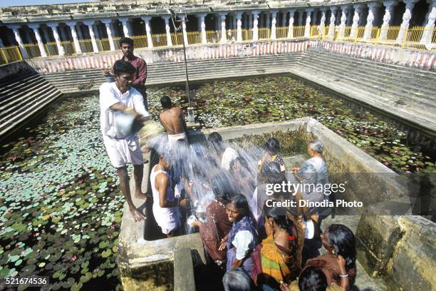 Santhu Raman 215 Ramanathaswamy Temple Rameswaram Stock Photos, High-Res Pictures ...
