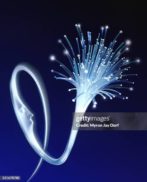 fiber optics - fiber bundle stock pictures, royalty-free photos & images