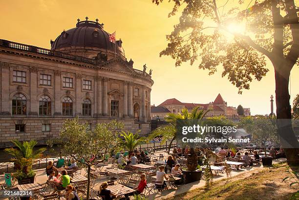 berlin, people relaxing at monbijoupark - centro de berlín fotografías e imágenes de stock