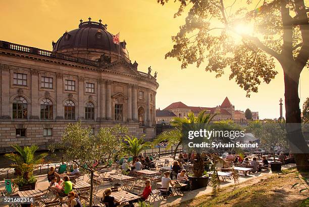 berlin, people relaxing at monbijoupark - museum island stock pictures, royalty-free photos & images