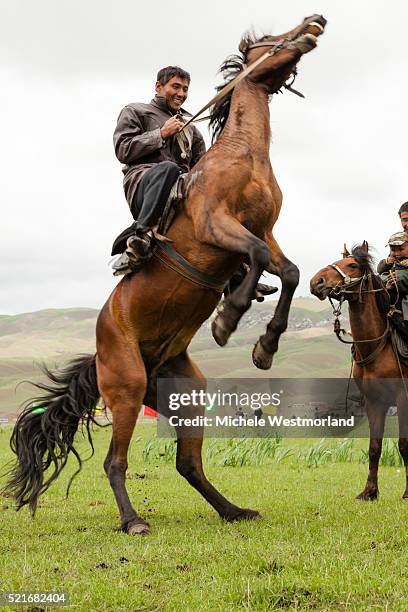 kazakh man rearing horse - horse rearing up stockfoto's en -beelden