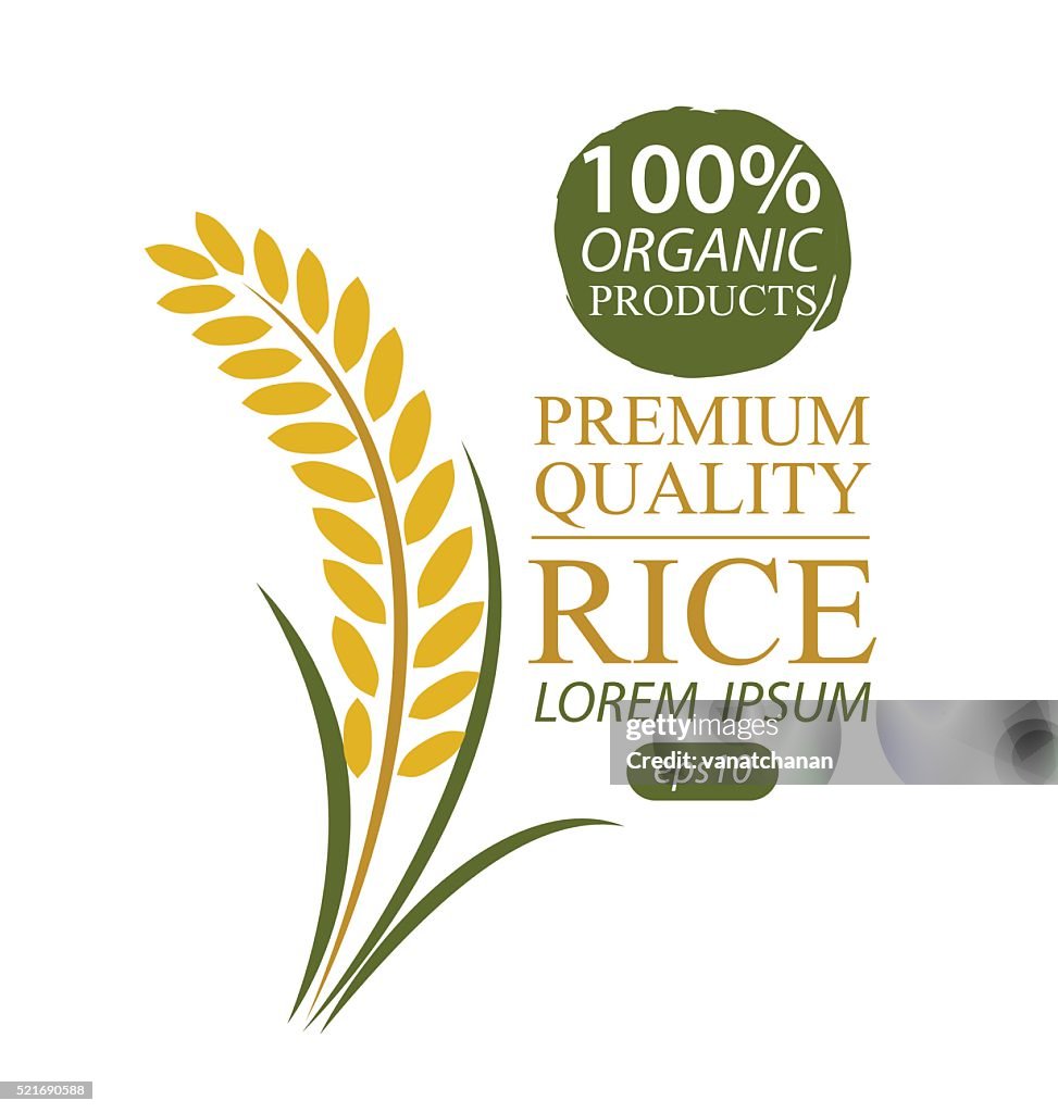 Pastil Rice Vector Rice Vector Illustration High-Res Vector Graphic - Getty Images