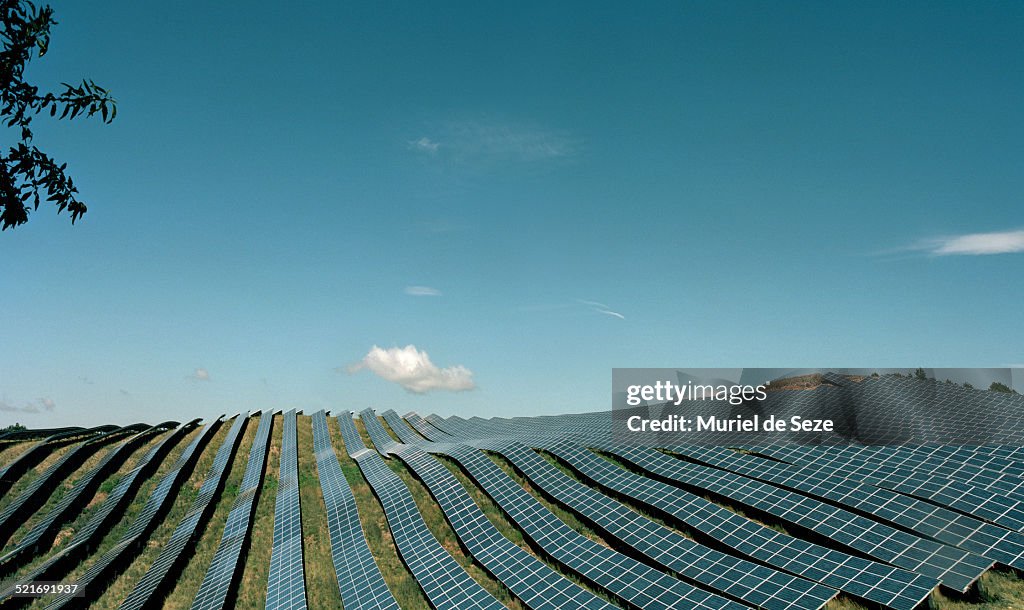 Field with solar panels