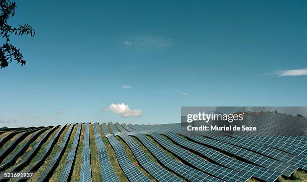 field with solar panels - solar farm stock-fotos und bilder