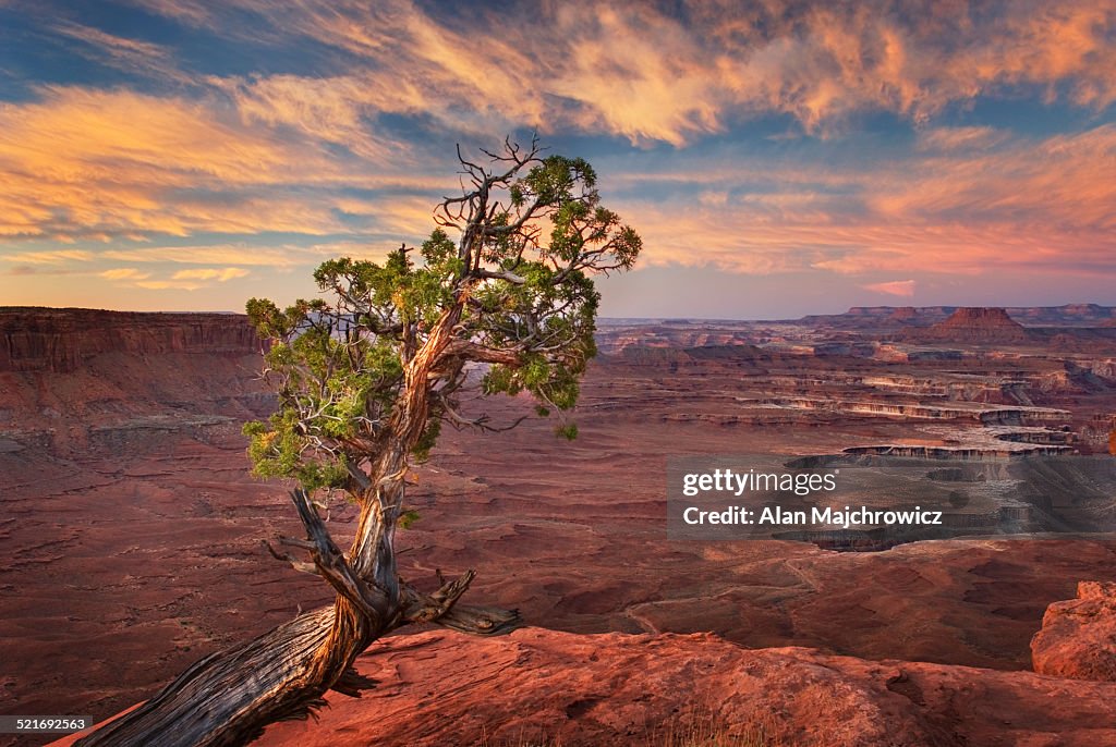 Green River Overlook, Canyonlands National Park