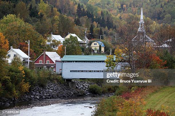 the view of village - autumn covered bridge stock pictures, royalty-free photos & images