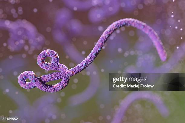 ebola virus - virus organism stock illustrations