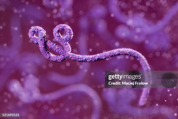 stockillustraties, clipart, cartoons en iconen met ebola virus - hemorragische koorts