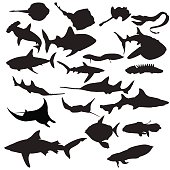 Fish silhouettes