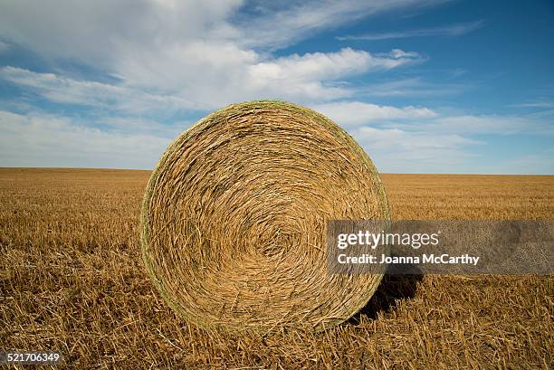 hay - fieno foto e immagini stock