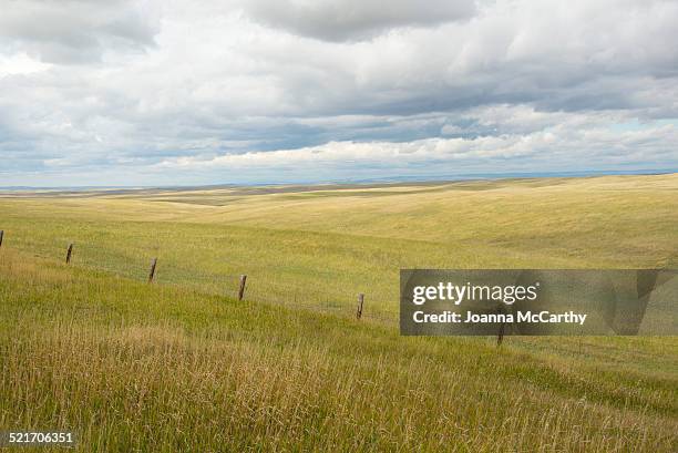 oglala grasslands - grass land stock pictures, royalty-free photos & images