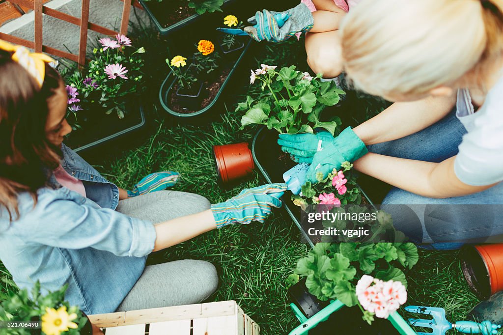 Mother And Daughter Planting Flowers Together.