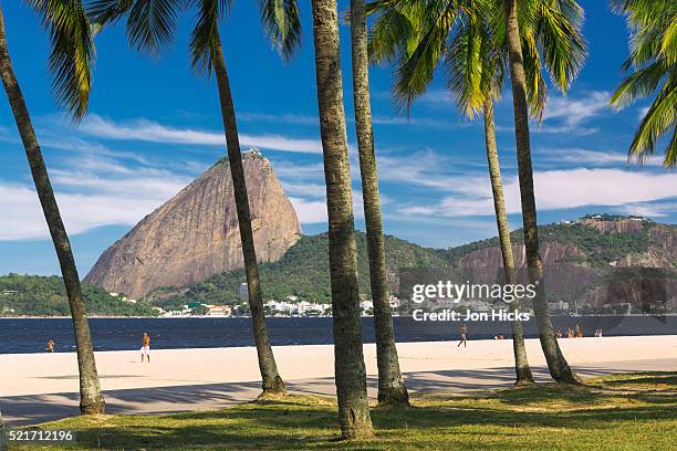 flamengo beach, rio de janeiro. - botafogo brazil stock pictures, royalty-free photos & images