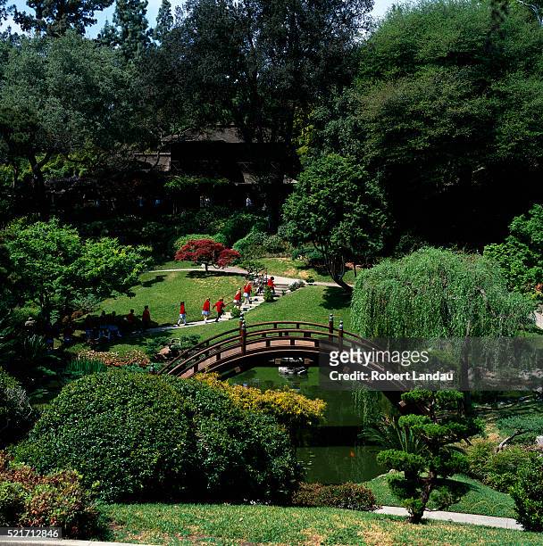 huntington botanical gardens in pasadena, california - san marino california stock pictures, royalty-free photos & images