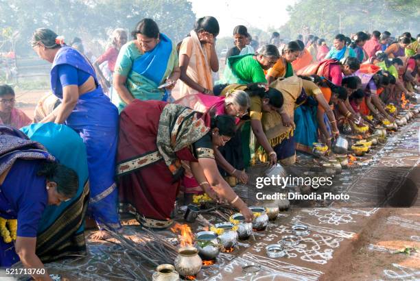 women celebrating pongal festival in tamil nadu, india - pongal festival stock pictures, royalty-free photos & images