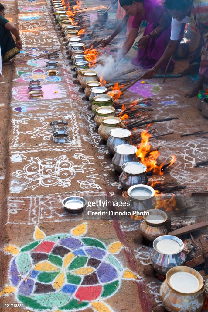 Women celebrating Pongal festival in Tamil Nadu, India