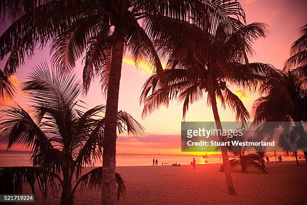 sunset on beach on isla mujeres - insel mujeres stock-fotos und bilder