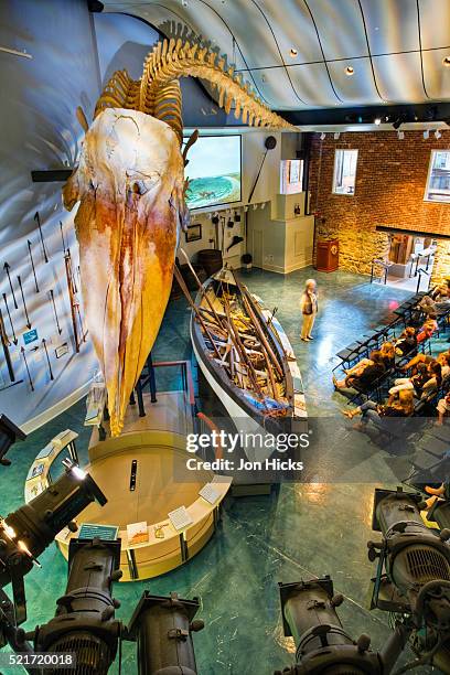 presentation at the nantucket whaling museum - history museum stock pictures, royalty-free photos & images