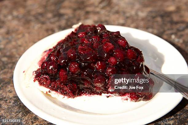 saskatoon berry pie - dessertpasteten stock-fotos und bilder