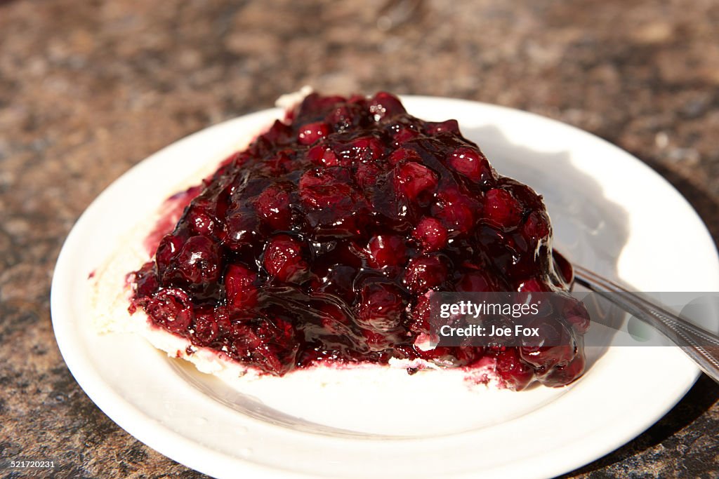 Saskatoon berry pie