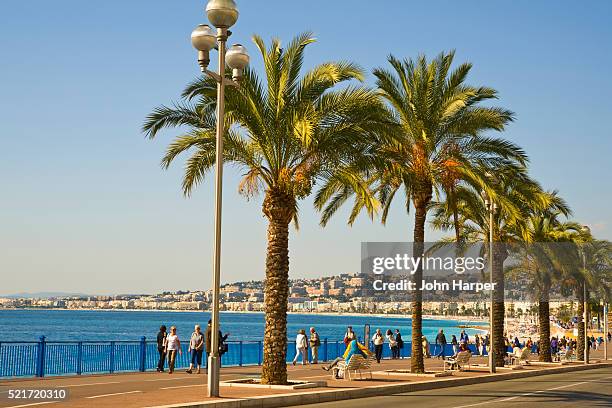 promenade des anglais in nice - nice france stock pictures, royalty-free photos & images