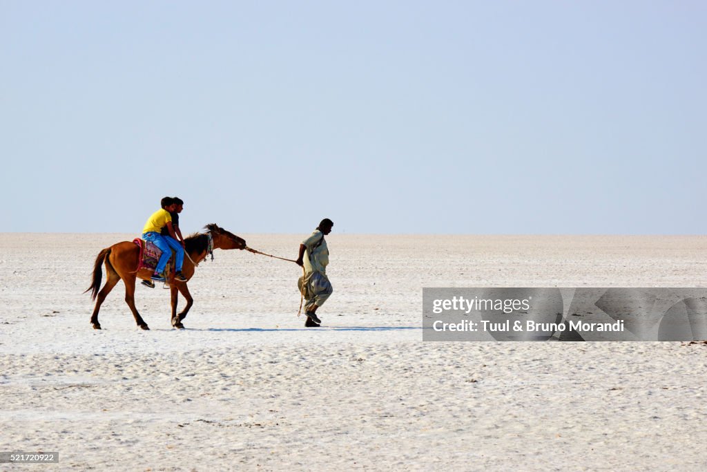 Gujarat, Rann of Kutch, salt desert
