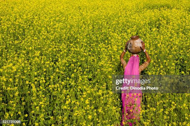 Rajasthani Village Woman Carrying Water Pot In Mustard Field Jodhpur Rajasthan India, Photo