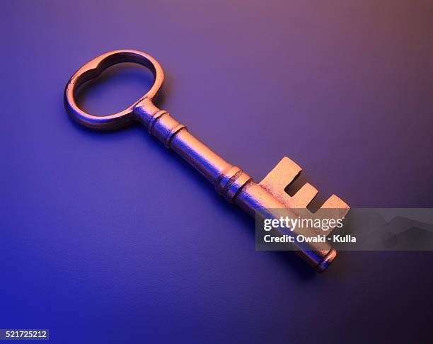 Ekey Vector 5,315 E Key Stock Photos, High-Res Pictures, and Images - Getty Images