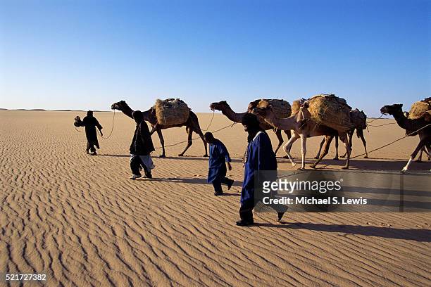 camel caravan crossing the sahara desert - tuareg stock pictures, royalty-free photos & images