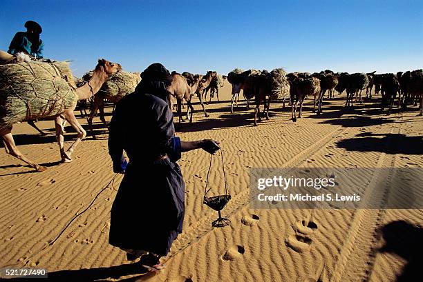 camel caravan in the sahara desert - tuareg stock pictures, royalty-free photos & images