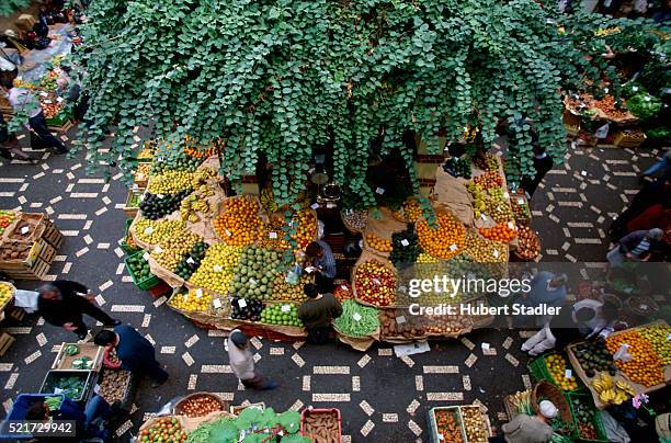 fruit stall in market in funchal - funchal stock-fotos und bilder