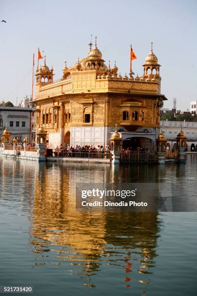 view of harmandir sahib or darbar sahib or golden temple reflection in lake, amritsar, punjab, india - golden temple india stock-fotos und bilder