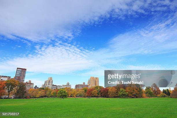 cloud cover the autumnal sheep meadow - sheep meadow central park stock pictures, royalty-free photos & images