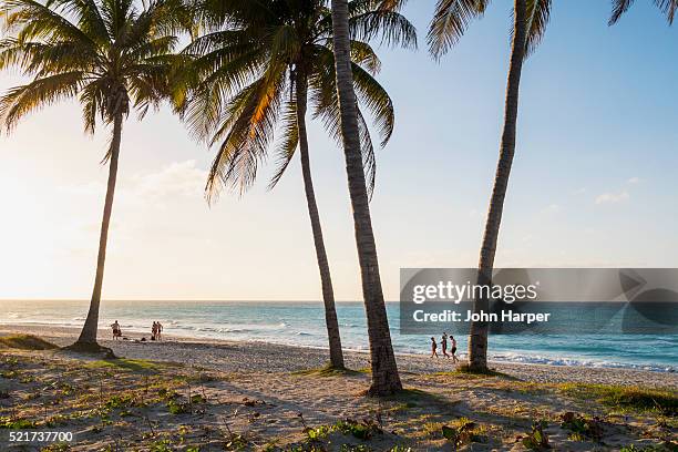 varadero beach, cuba - varadero beach stock-fotos und bilder