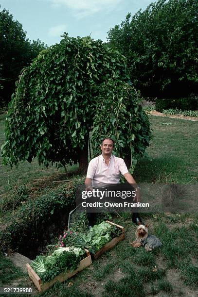 paul bocuse having a glass of wine in his yard - bocuse stock pictures, royalty-free photos & images