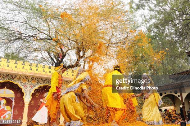 people playing krishna raas leela, india - raas leela stock pictures, royalty-free photos & images
